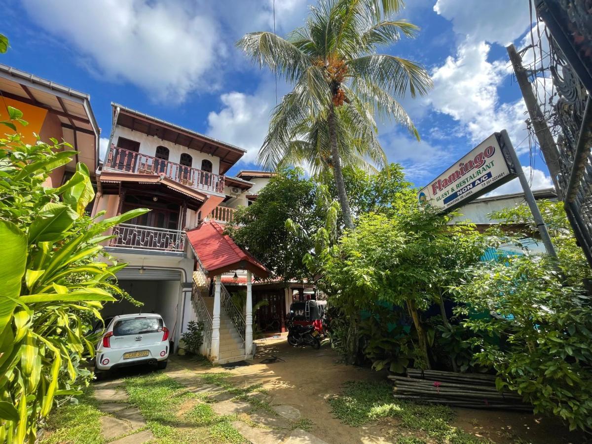 Flamingo Guest House 乌纳瓦图纳 外观 照片